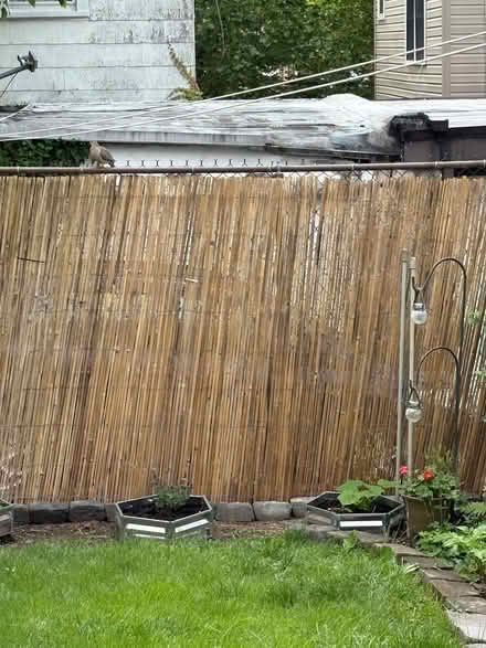 Photo of free Bamboo slat fencing (Drexel Hill) #2