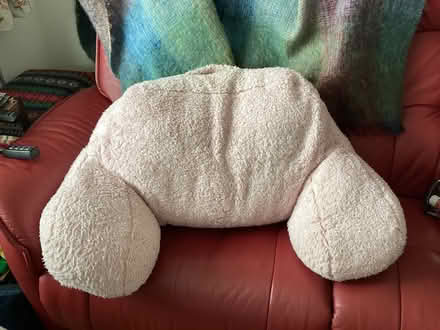 Photo of free Cuddle cushion (Southport PR8) #1
