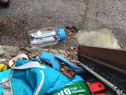 Photo of free Large glass jars (New Park HG1) #1