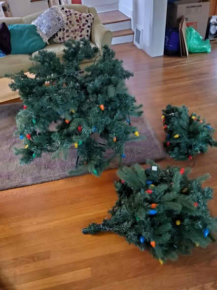 Photo of free Artificial Xmas tree (Ravenna) #1