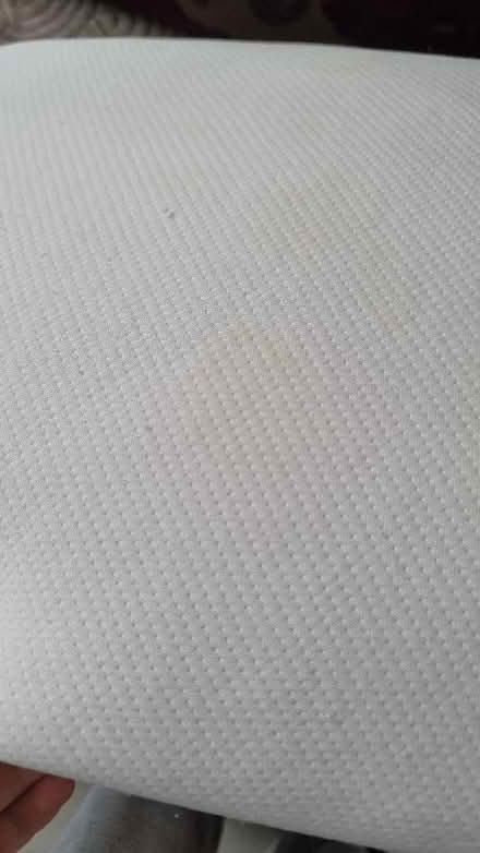 Photo of free Pillows (St. John's Wood NW8) #3