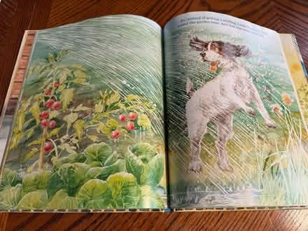 Photo of free Children's Books (Near Davis Square) #3