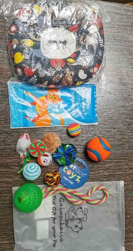 Photo of free Cat toys etc (The Nurserylands TW12) #1