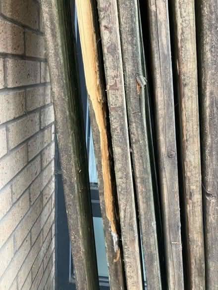 Photo of free Old decking wood (Hulme M15) #2