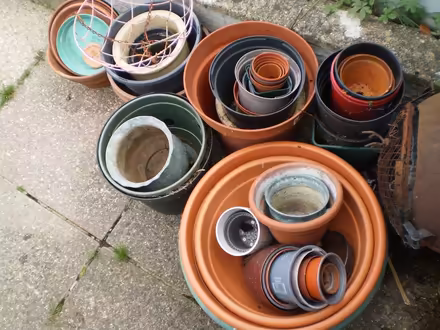 Photo of free Garden & Flower Pots (Waltham Chase SO32) #1