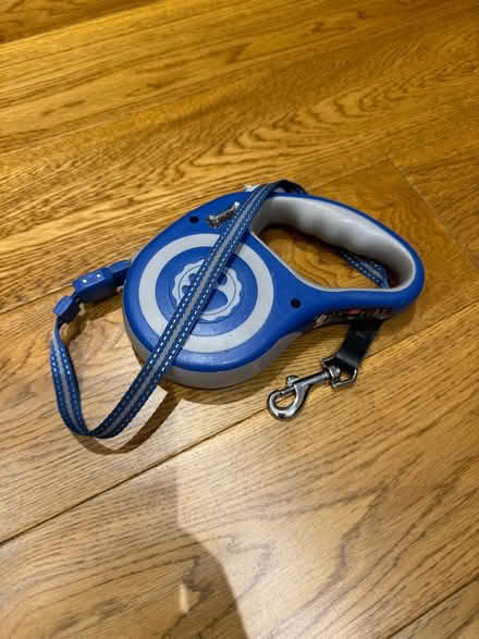 Photo of free Retractable dog lead (Wimbledon) #1