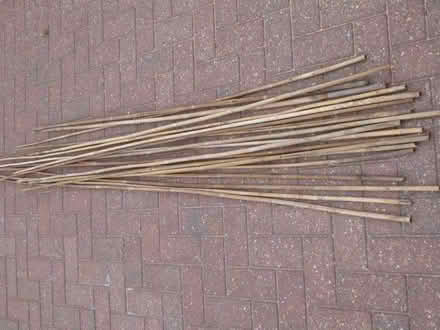 Photo of free Garden canes (Codsall WV8) #1