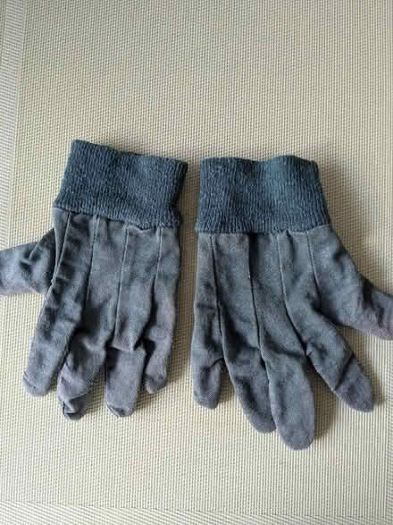 Photo of free Small Gardening Gloves (Beulah Hill SE19) #1