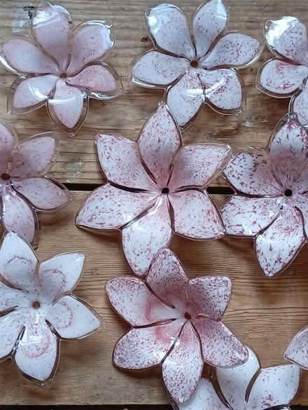 Photo of free 13 Murano Glass Flowers (Buxworth SK23) #3