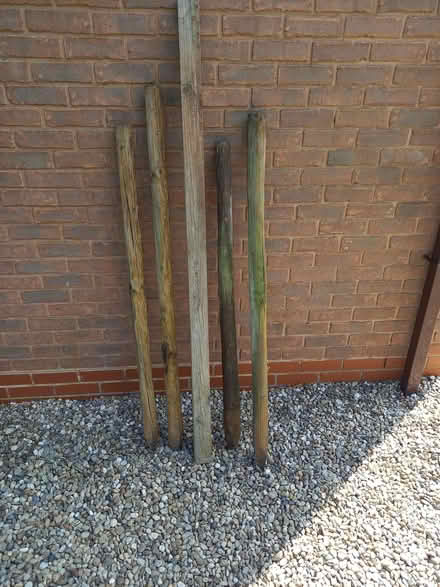 Photo of free Fence Posts (Bransford WR6) #1