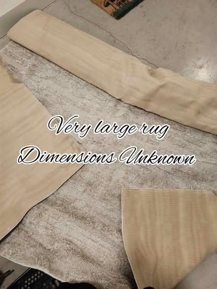Photo of free Very large rug (76102) #1