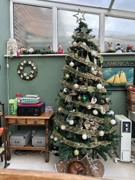 Photo of free 7 ft Christmas tree (Epsom KT19) #1