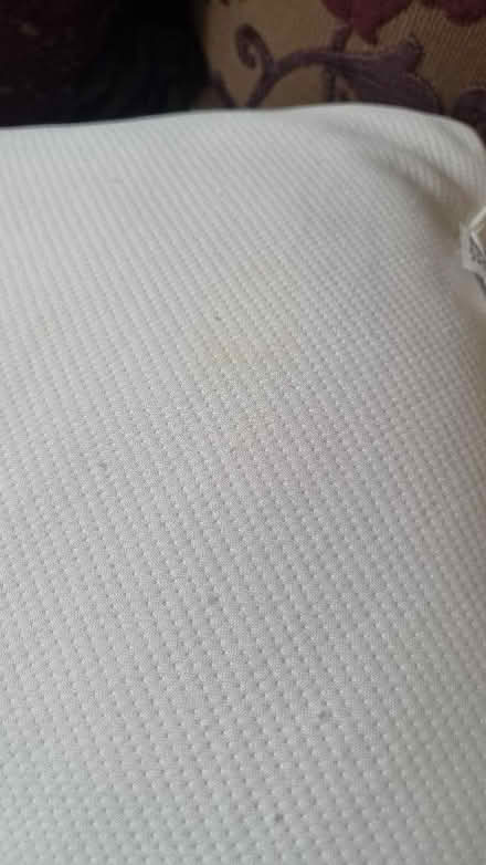 Photo of free Pillows (St. John's Wood NW8) #4
