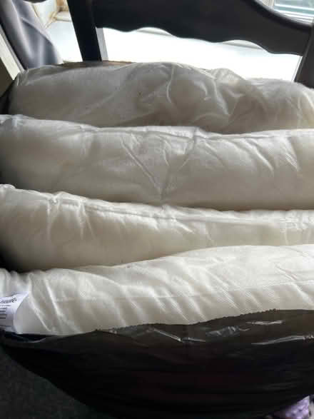 Photo of free 50x50 cushion inserts (Arbourthorne S2) #1