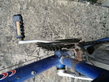 Photo of free Female 15-speed bike (Peterhouse Mews CB4) #2
