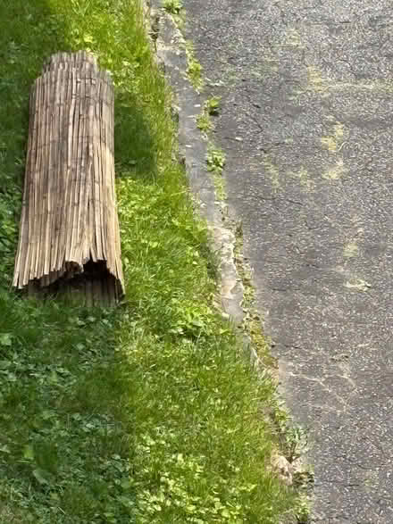Photo of free Bamboo slat fencing (Drexel Hill) #1
