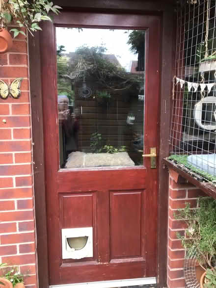 Photo of free Backdoor (Sunny Hill DE23) #2