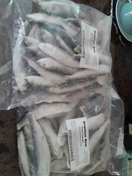 Photo of free 2 x 1kg whole sprats frozen (Horsham) #1