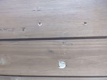 Photo of free Guinea pig outside run (Great Denham MK40) #3