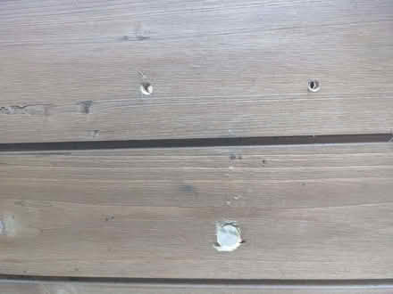 Photo of free Guinea pig outside run (Great Denham MK40) #3