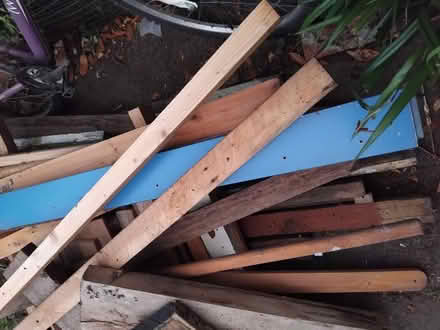 Photo of free Dry Timber Various (Panshanger AL7) #3