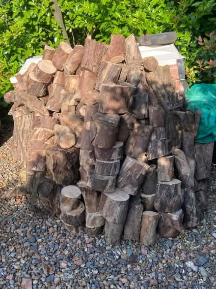 Photo of free Logs for fire, wood for chopping (St Albans AL1) #2