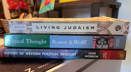 Photo of free Politics text books (Berkhamsted HP4) #1