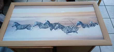 Photo of free Picture of zebras (Yatton BS49) #1