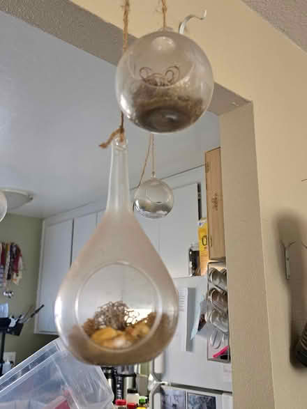 Photo of free Wall Decor (Hayward) #3