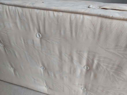 Photo of free Single Mattress (Whitchurch CF14) #4