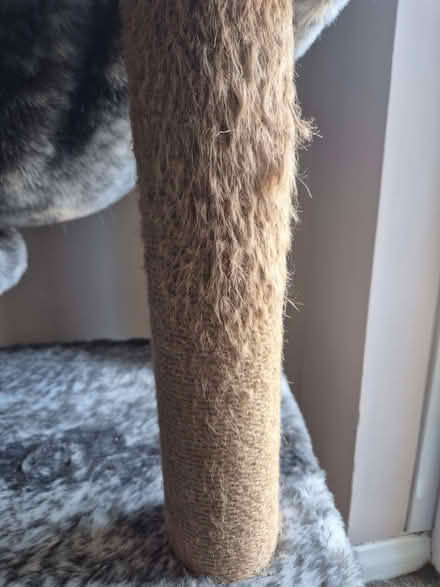 Photo of free Cat tree (Odd Down) #1