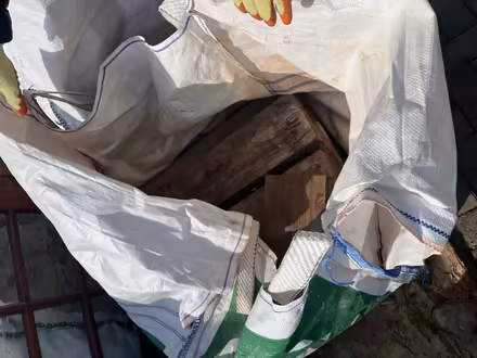 Photo of free Fire wood (Rowlatts Hill LE5) #4