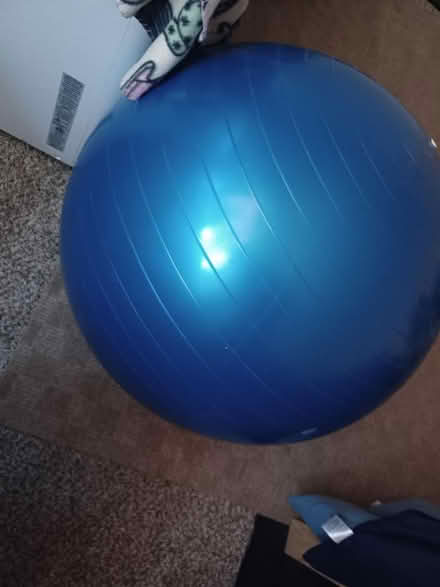 Photo of free Medicine ball (blue color) (Blossom Hill Road) #2