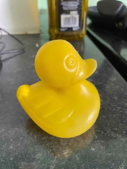 Photo of free 1000 Plastic Ducks for Duck Race (Sandend AB45) #1
