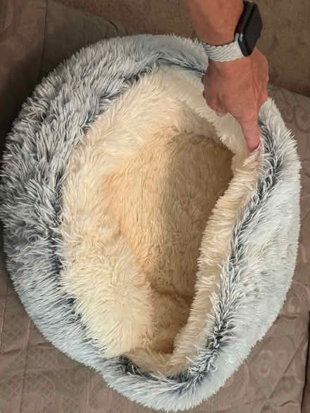 Photo of free Large cat bed (Willow Glen) #1