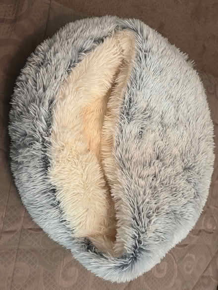 Photo of free Large cat bed (Willow Glen) #2