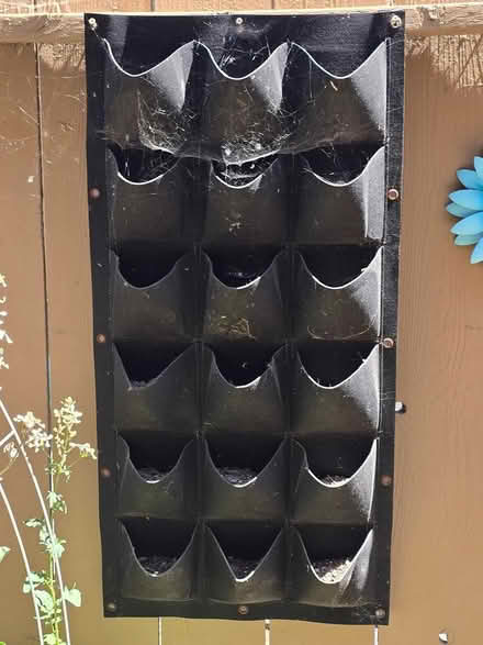 Photo of free Pocket Grow Bag (Hayward) #1