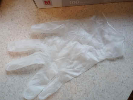 Photo of free Vinyl gloves, 4 prong cane (55th & Main) #3
