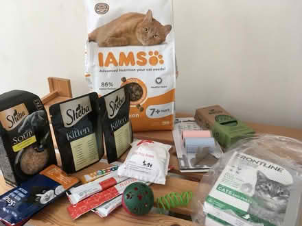 Photo of free Cat stuff (Jennyfields HG3) #1