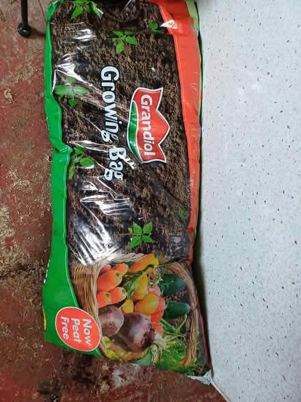 Photo of free Grow bag (Larkhall) #1