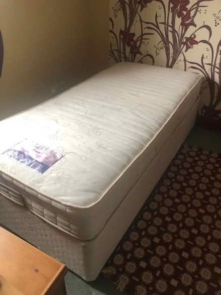 Photo of free Adjustable single bed (Thurston IP313RG) #1