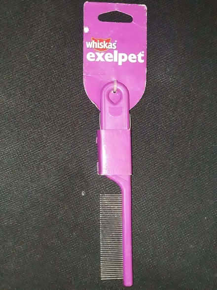 Photo of free Cat Comb (Clive Vale TN35) #1