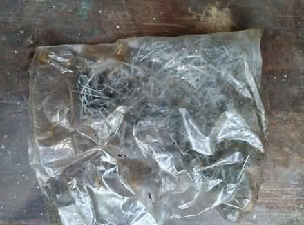 Photo of free Greenhouse glass clips (Kennington OX1) #1