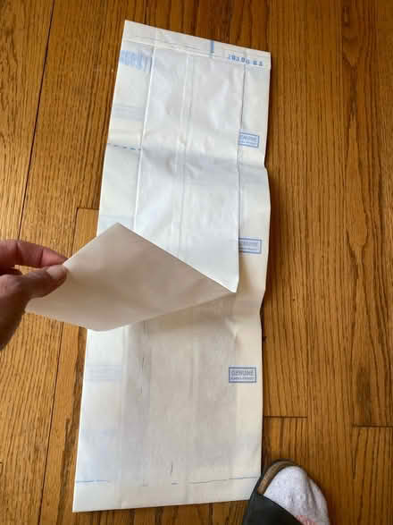 Photo of free One Eureka Vacuum Bag - F&G style (Darien - near 75th x Cass Ave.) #3