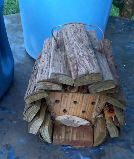 Photo of free BEE hotel (Twyford RG10) #1