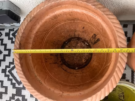 Photo of free Plant Pots (North Shields Fish Quay NE29) #2