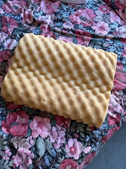 Photo of free Foam pillow (Kendal LA9) #1