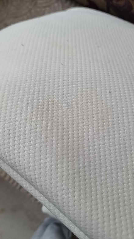 Photo of free Pillows (St. John's Wood NW8) #2