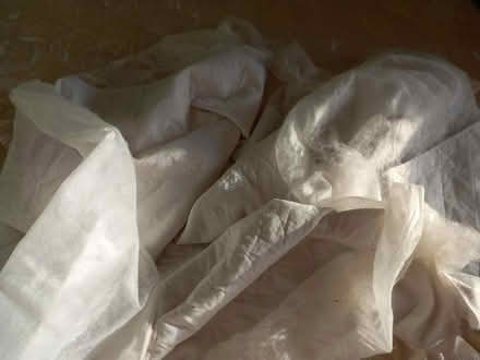Photo of free Double Bed Mattress Protector (Collyhurst M40) #3