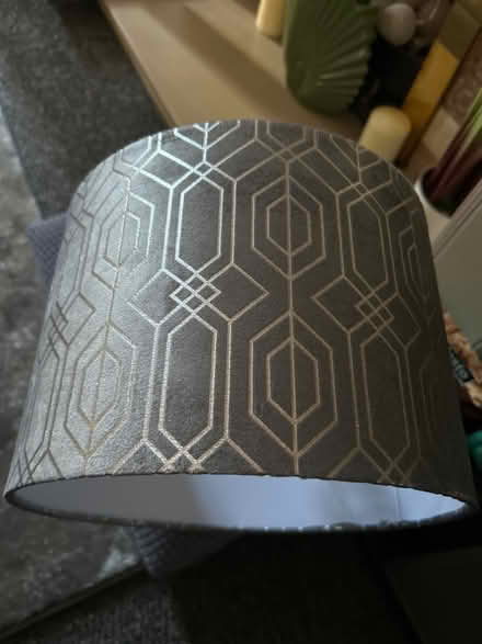 Photo of free Ceiling shade (Arbourthorne S2) #1